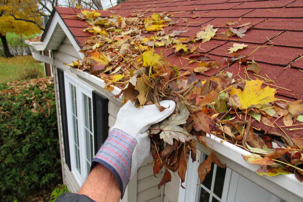 Gutter-cleaning